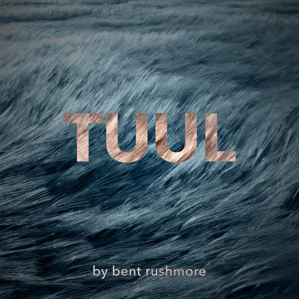 Tuul by Bent Rushmore. Meditative/ambient electronic music album 2020